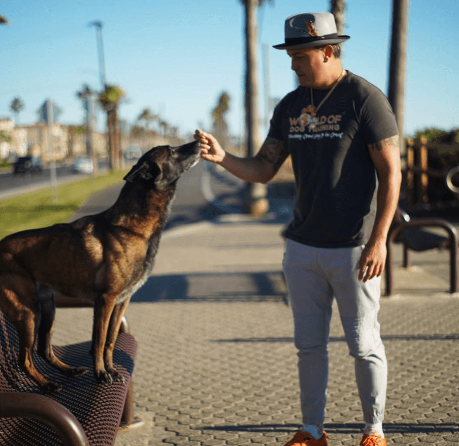 Ryan giving his dog a treat on a boardwalk bench during a one-on-one training session