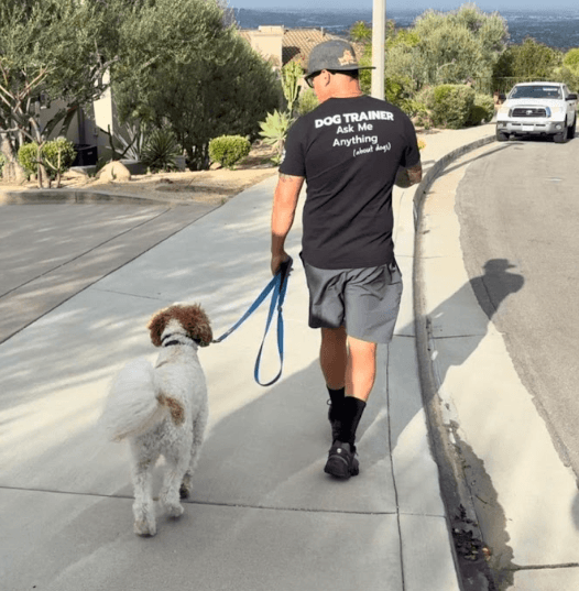 Ryan wearing a 'Dog Trainer, Ask Me Anything' shirt walking a leashed dog on a neighborhood sidewalk